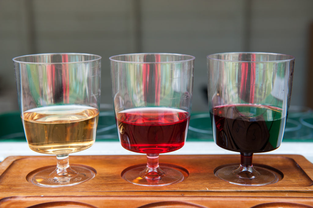 Abruzzo Wine Selection