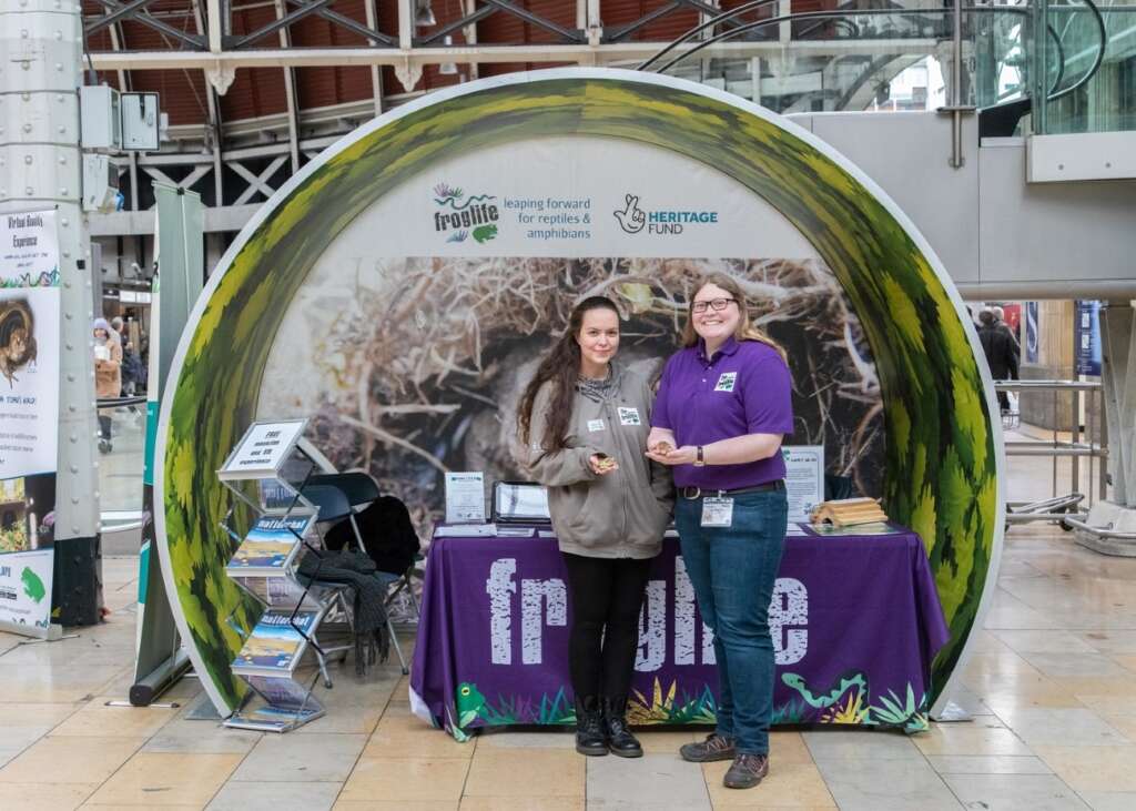 Froglife at Paddington Station